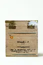 100 GMS Chestlet_Back.webp