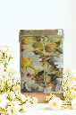 Chamomile G Tea Tin Back.webp