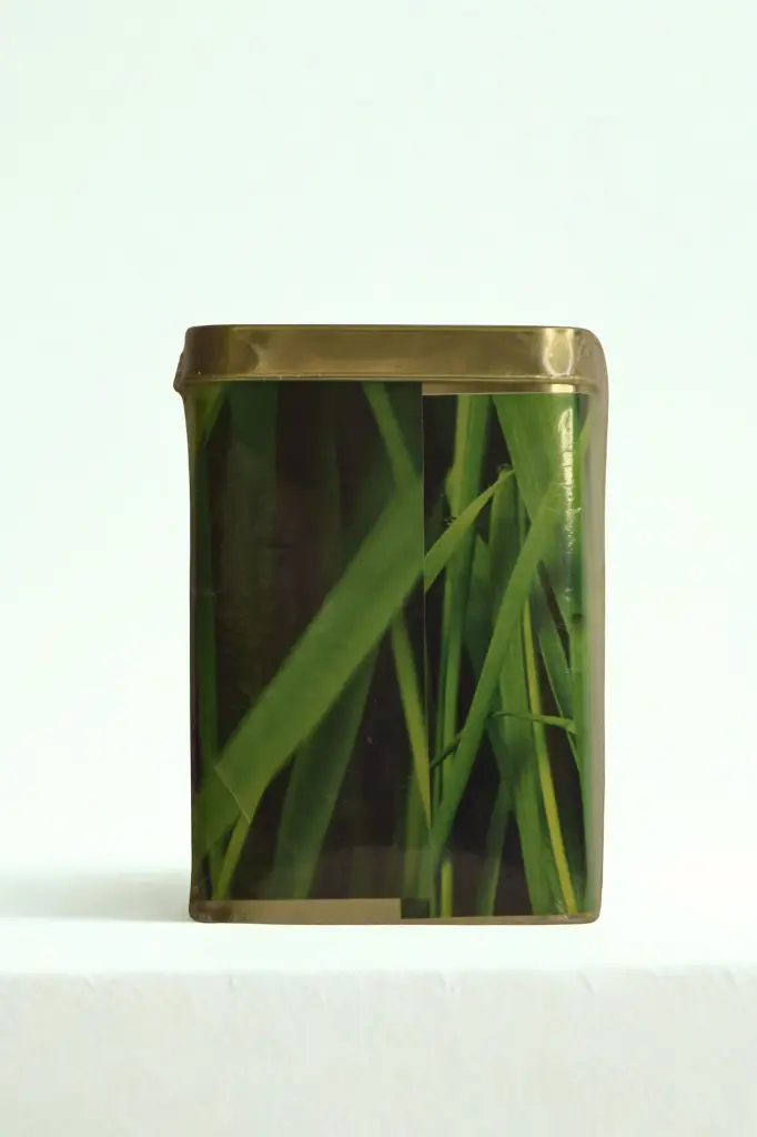 Lemon Grass G Tea Tin_Back.webp
