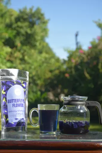 [51] Butterfly Pea Flower (Blue Tea)